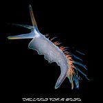 artworks-3-Vy-JAsi-KLt-Pk-0-t500x500.jpg