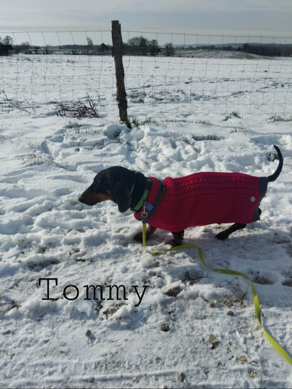 [Image: 20210211-144611.jpg]