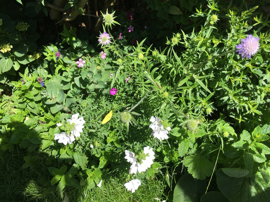 D0E0B06E-D83D-4C62-9125-BE6865C7A0D3