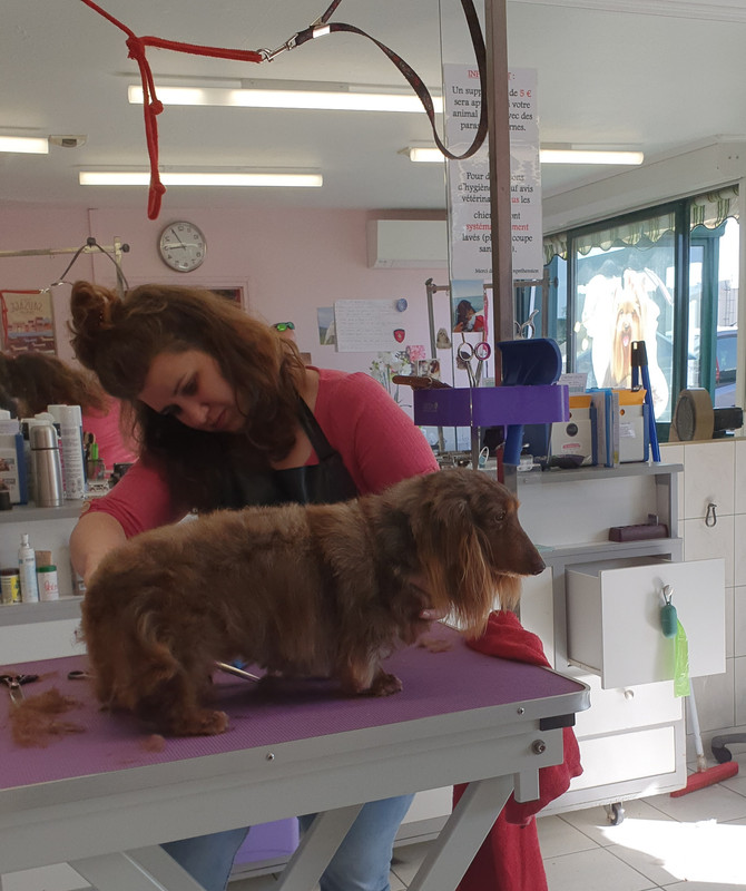 [Image: 20210930-213706.jpg]