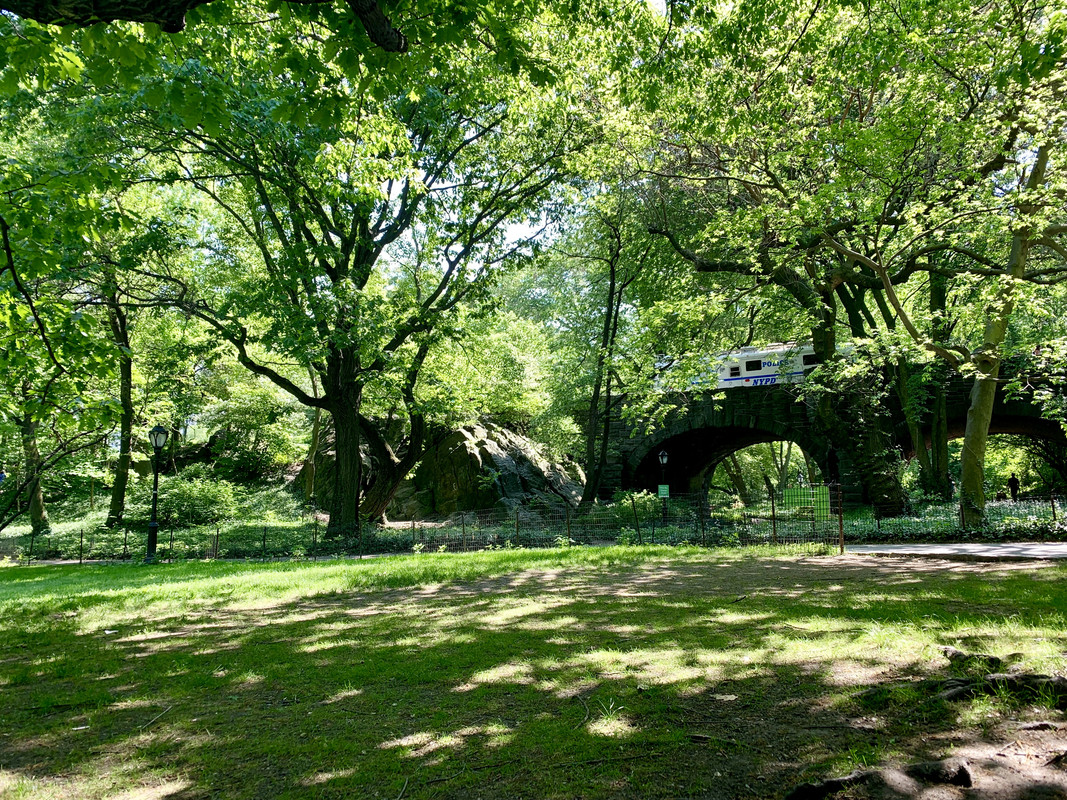 666CCCE8-C411-4B91-B85A-AC3859E4234D