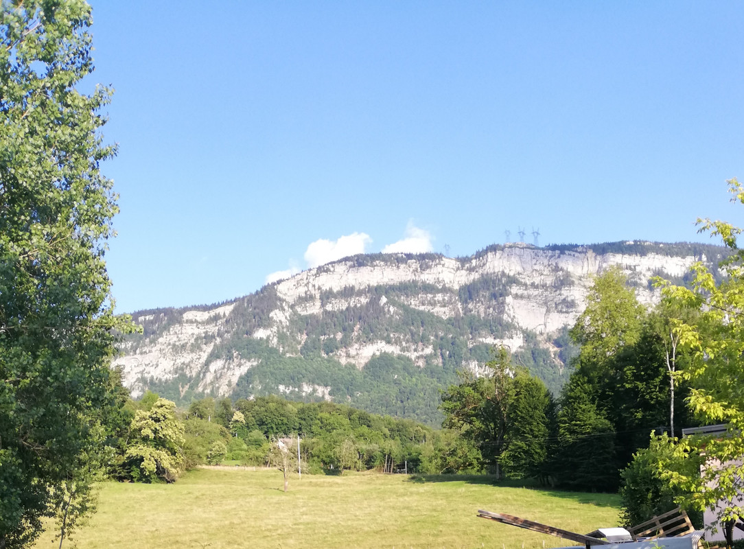 IMG_20200624_195635 (2)