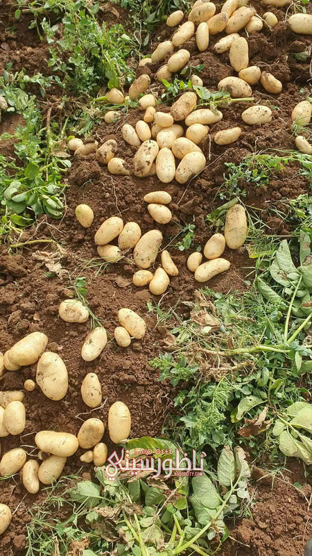 2896e259-609c-4372-a51f-9a0a3dcbb6a0