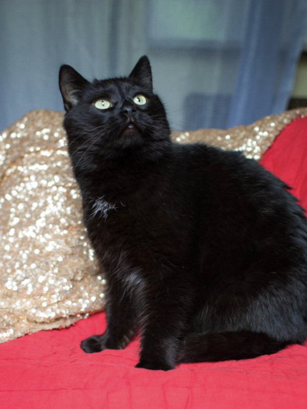 A02A7053-CABB-4006-A724-F741A26BADC8