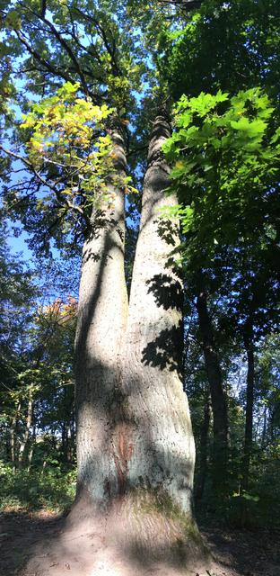 1263347_B-_F10_C-4134-8178-73_DDB234_EF0