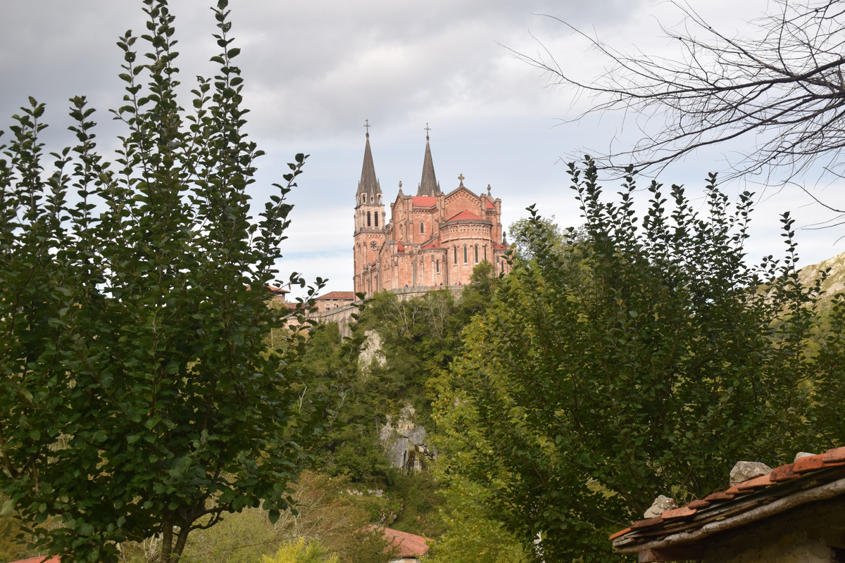 DSC-0150-1.jpg