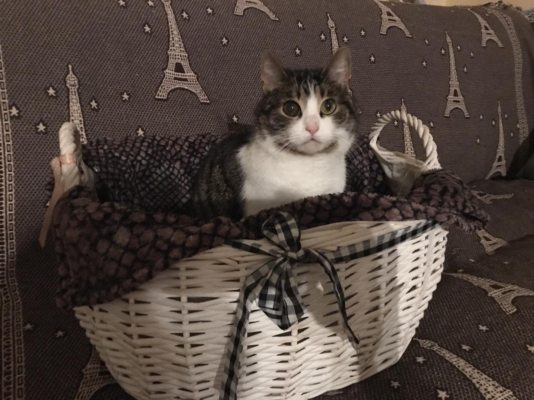 3A93BF9F-B049-40F1-9078-E45ECA8FDBF5