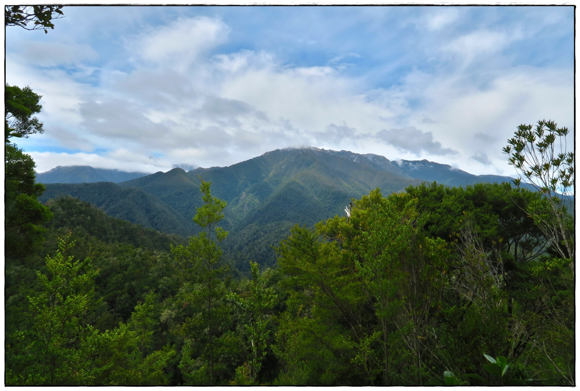 Escapadas y rutas por la Nueva Zelanda menos conocida - Blogs de Nueva Zelanda - Kahurangi NP: Heaphy Track (Navidad 2020, III) (7)