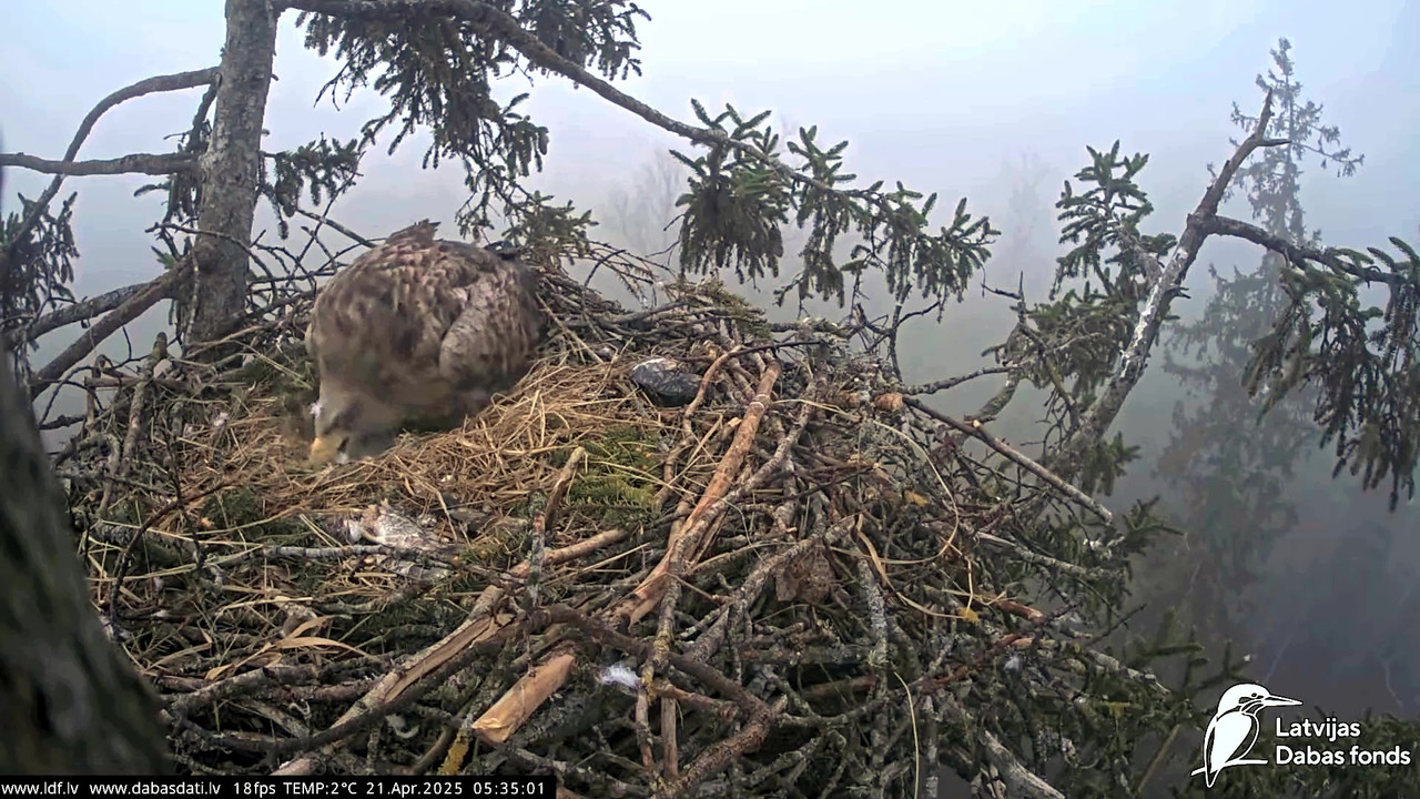 vlcsnap-2025-04-21-07h19m45s781