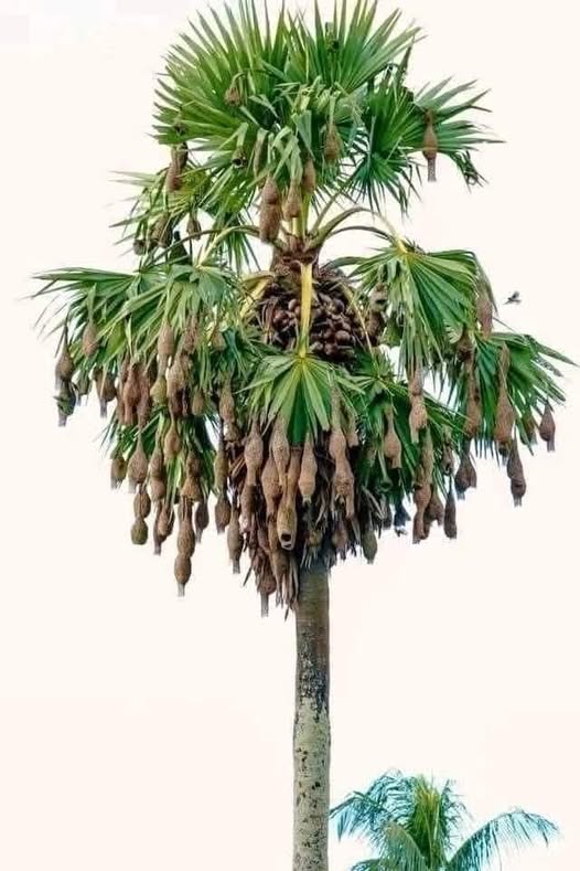 528333134-5054570358101608-5685508282771