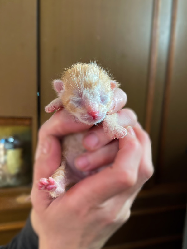 A625A37D-5A65-4300-9BA7-3175A6C8C018