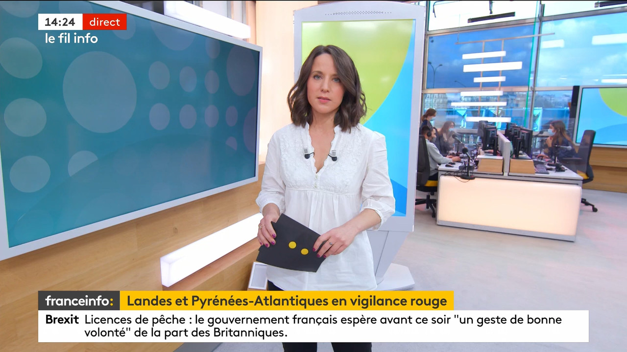 12.10 - 12.59.00 - Le fil info 14h-17h. Au sommaire   Vrai ou fake. -....ts_snapshot_00.27.51.290