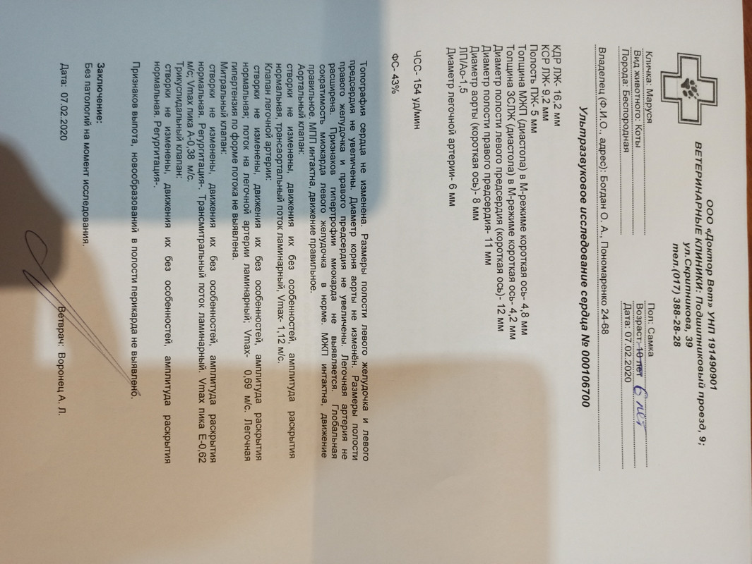 Маруся узи сердца