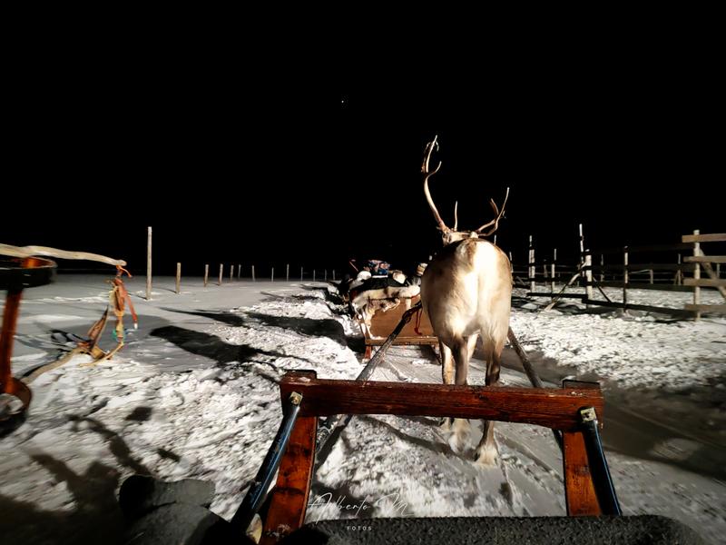 Auroras - 3.er reportaje por Laponia norte - Marzo 2025 - Blogs de Finlandia - PARTE I (47)