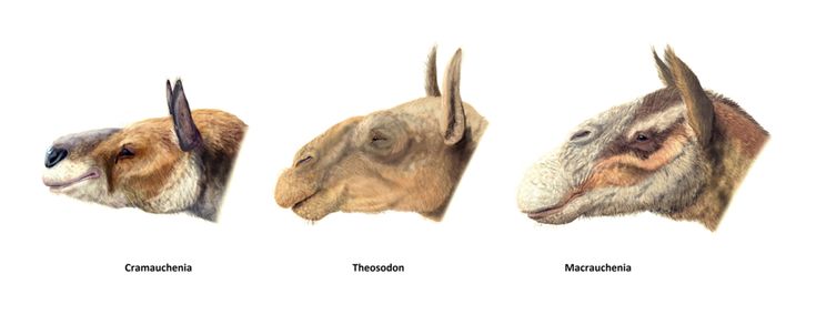 d27d8684ecb9f14476e73cc6c6546cbd