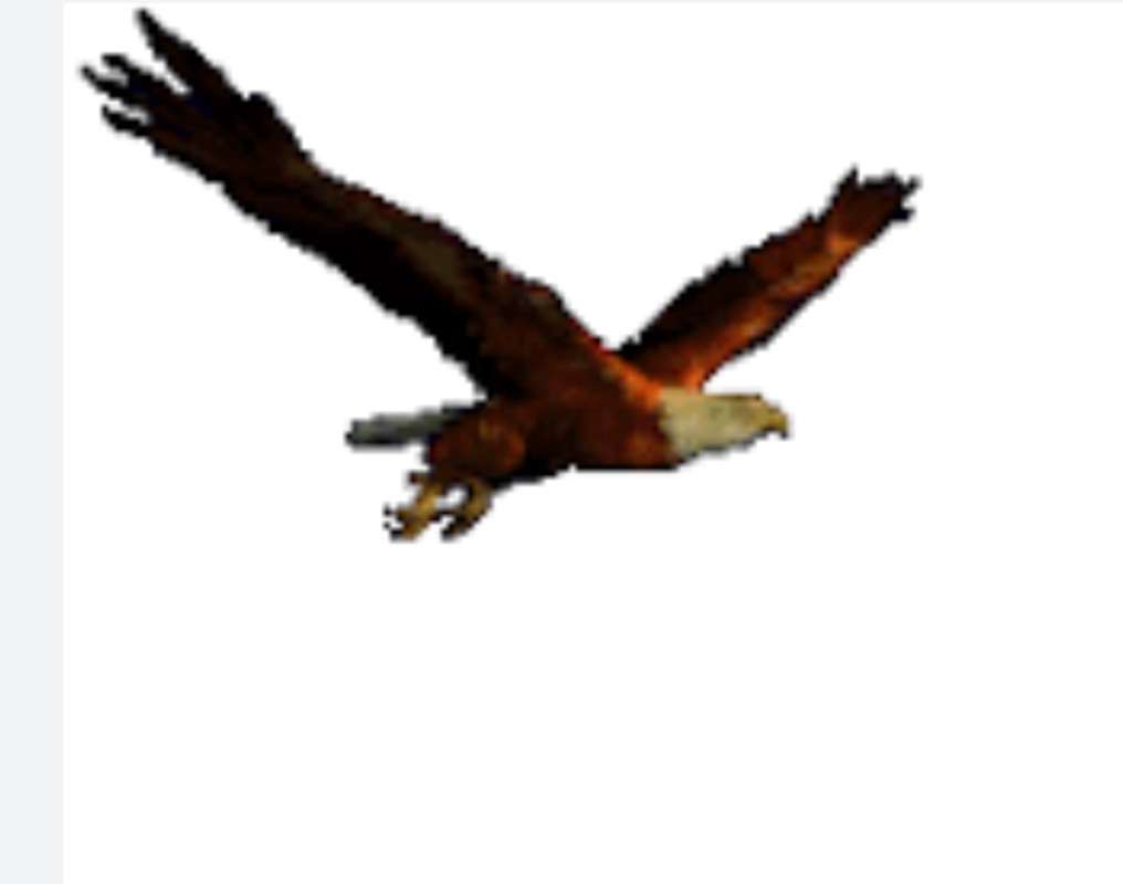 Screenshot_20240115_233532_Samsung Internet