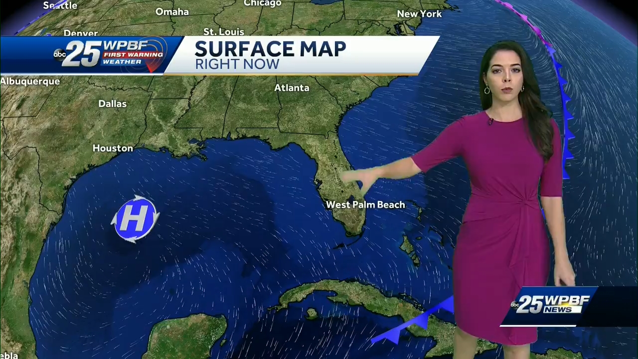 01.17 - 04.00.00 - WPBF 25 News..ts_snapshot_40.14.434