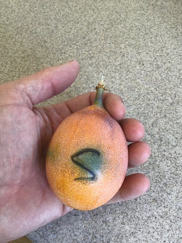 482A840D-F614-4A88-A0F3-1E6039AA3913