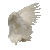 wing2