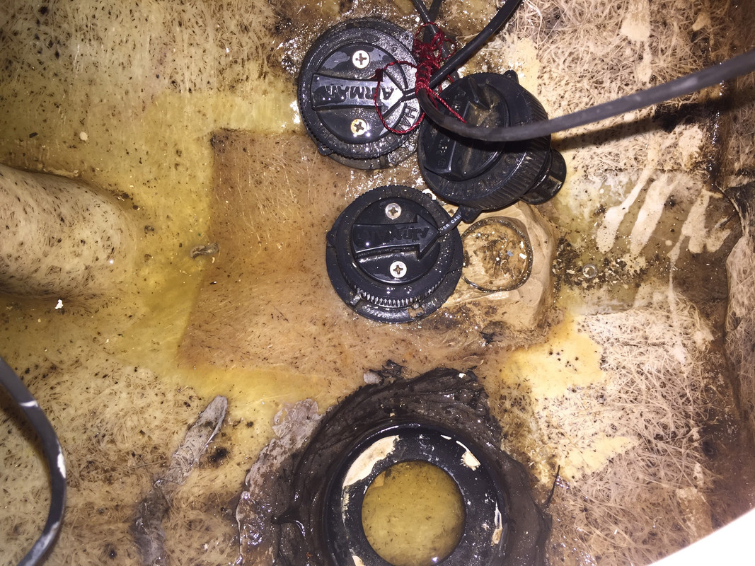 4039361C-A44E-4045-A7DD-CA356858B9DA