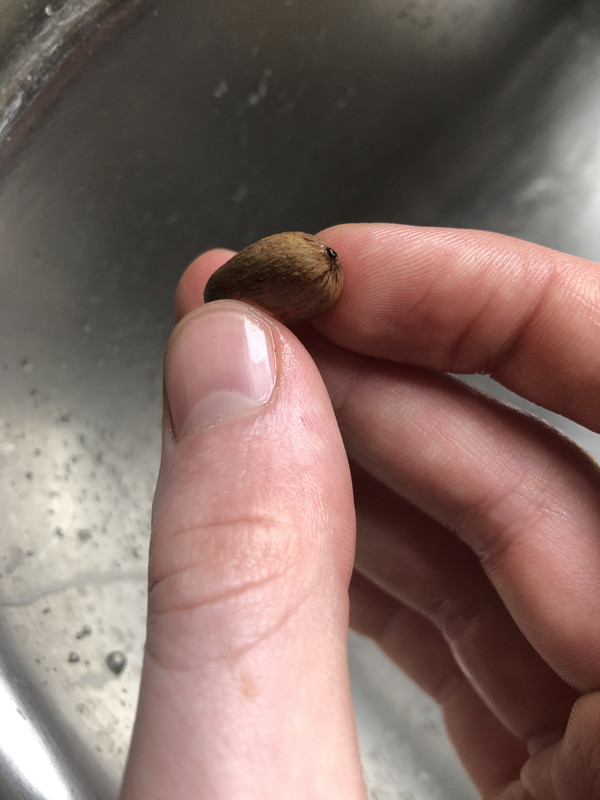 33E55B30-C4C0-4669-AEEC-FABCEA49DAE6