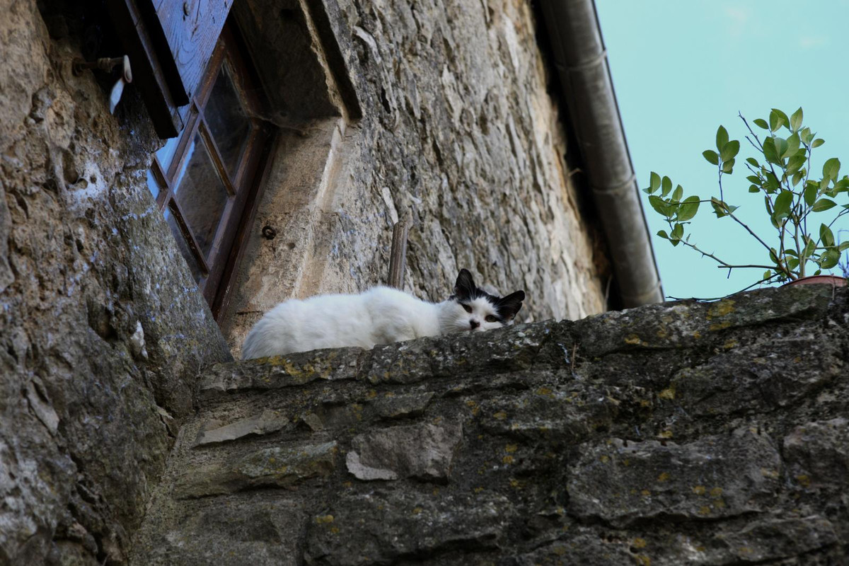 Couvertoirade (25).JPG.1