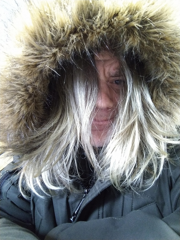 arcticwoof