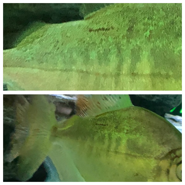 DE0337FE-9B4D-4C8B-B42A-256DDFC9CF03