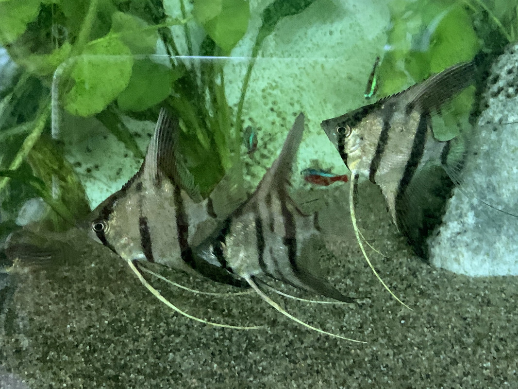 2D5A57A5-2F6C-4FCB-BD7E-8E78C493521F