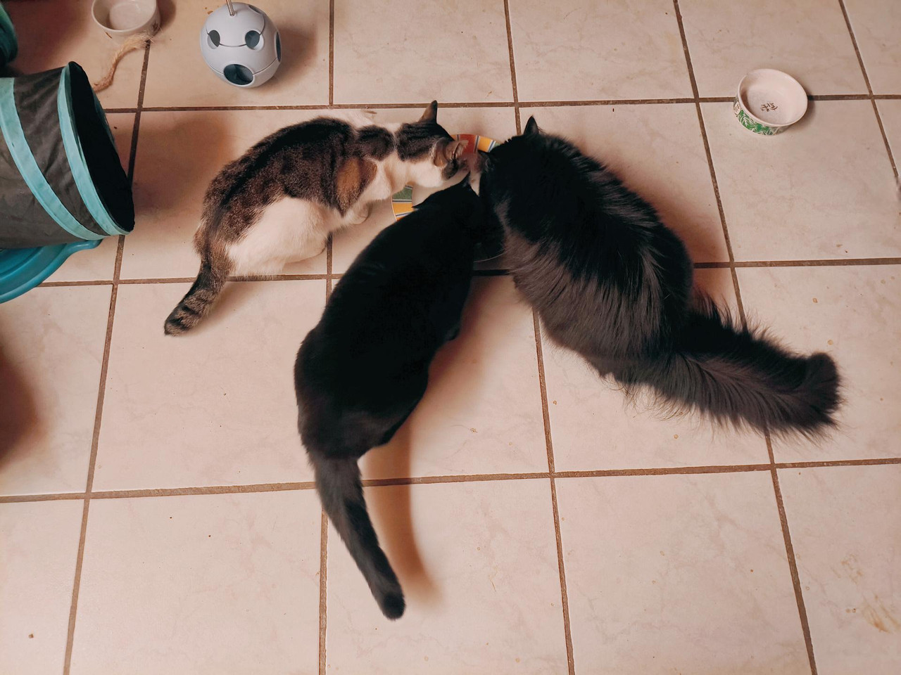 Lumii 20260321 201336080