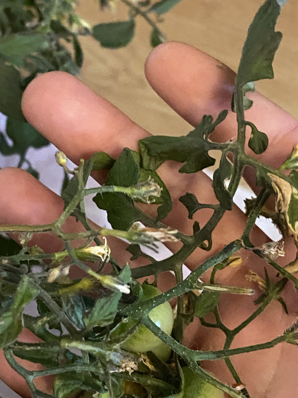 C4F244CC-9E04-48AC-B5C9-E50D953BC514