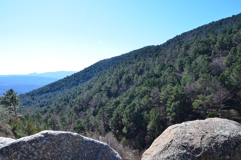 RUTA EMBALSE DEL HORCAJO Y GARGANTAS DEL VALLE DEL TIETAR-20-2-2016-AVILA - Paseando por España-1991/2016 (19)