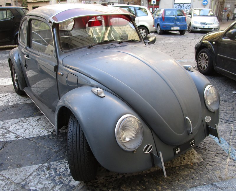 IMG-3630.jpg