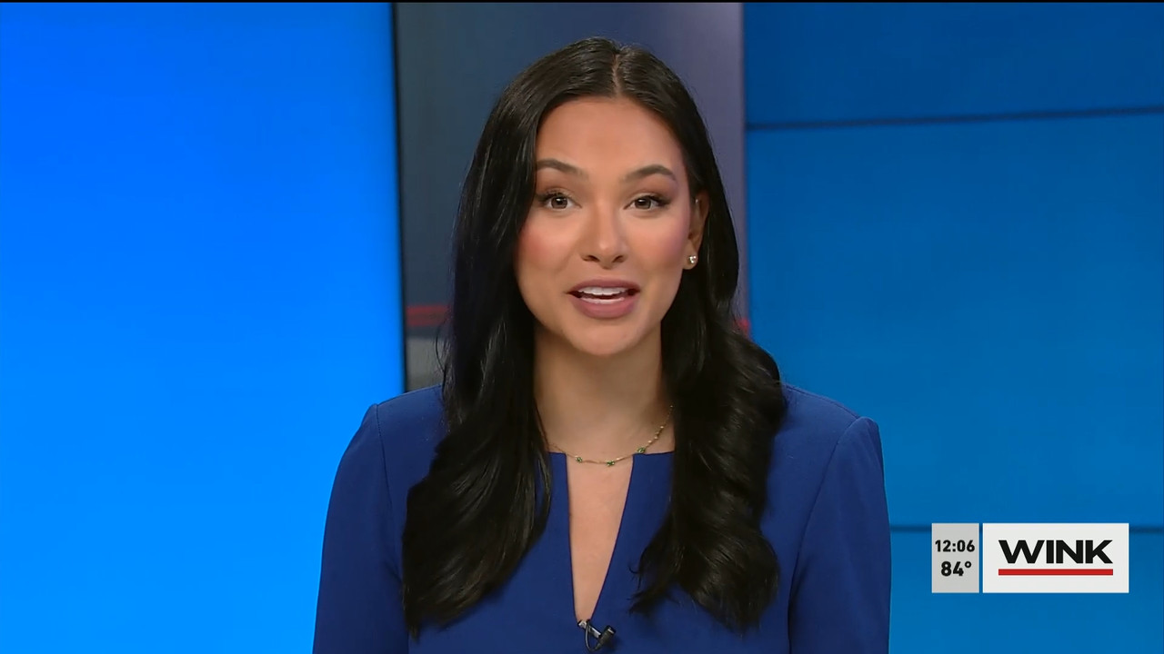 04.24 - 17.00.00 - The WINK Noon News  ᴺᵉʷ. Midday news update..ts_snapshot_12.46.028
