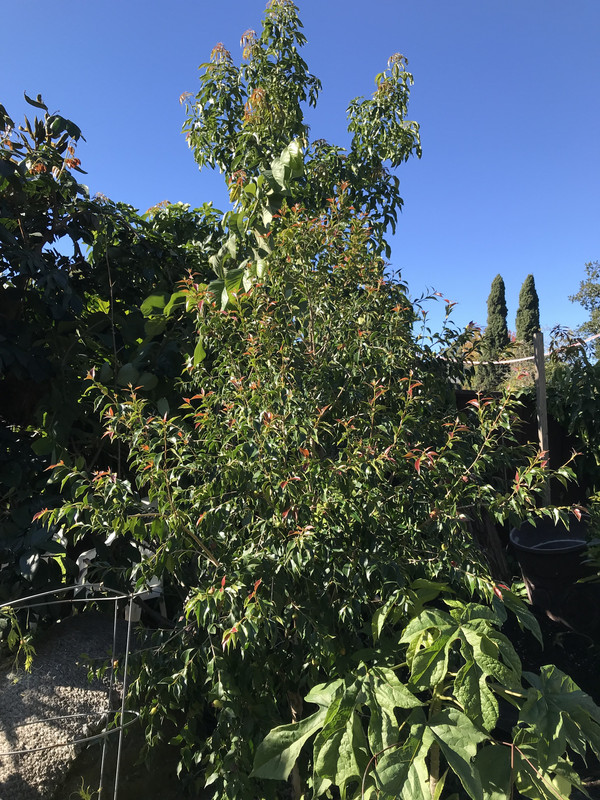 71184C90-8D5E-4391-BE64-96E30FC5D088