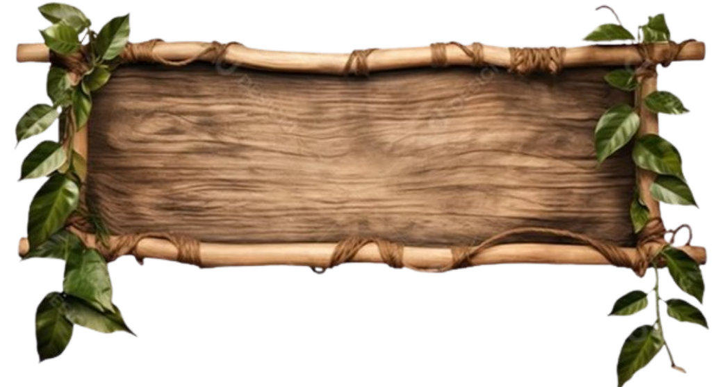 Moldura decorativa Ocean's Library