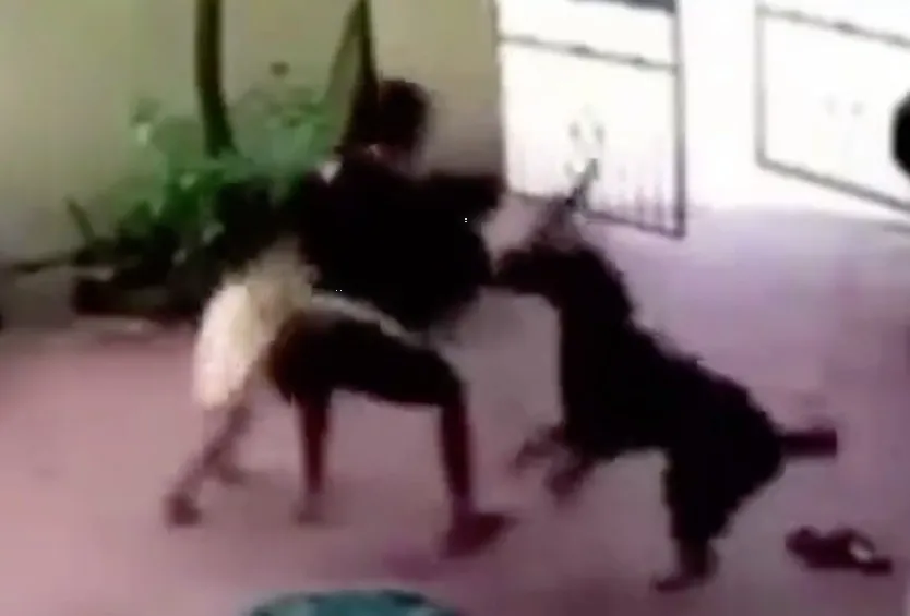 ¡El Verdadero Héroe! Perrito Finge 'Dormir' para Proteger a una Niña