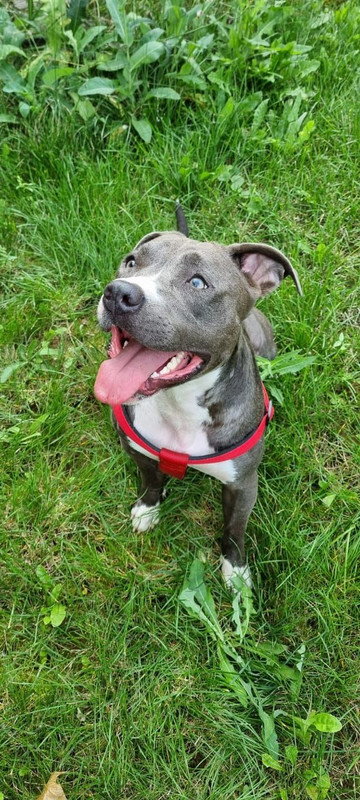 68D63427-DC76-41CC-8C04-6C45295F953F