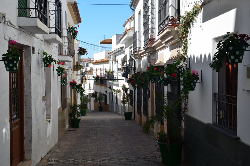 ESTEPONA-9-3-2017 - Málaga y sus pueblos-2009/2017 (63)