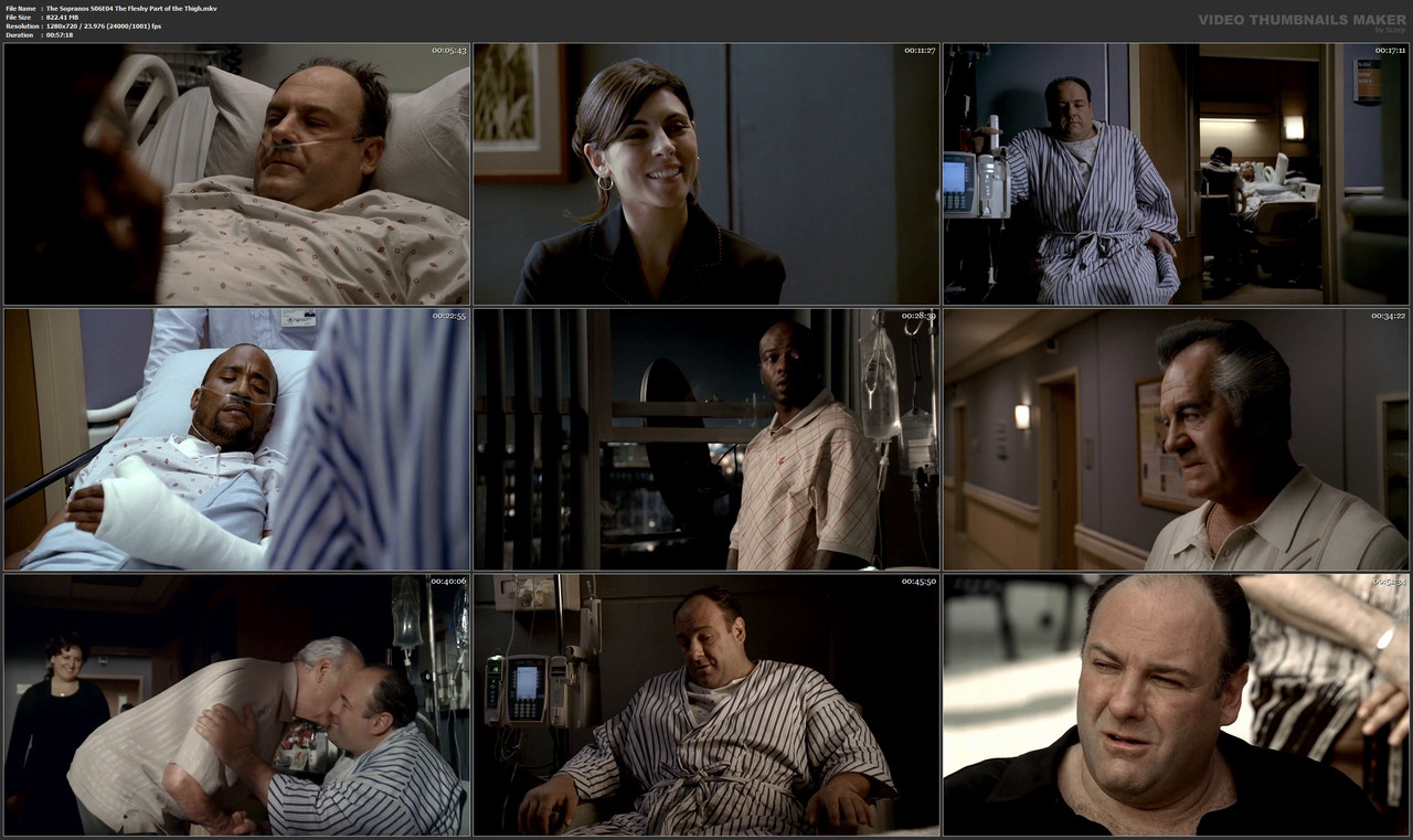 The Sopranos S06E04 The Fleshy Part of the Thigh.mkv