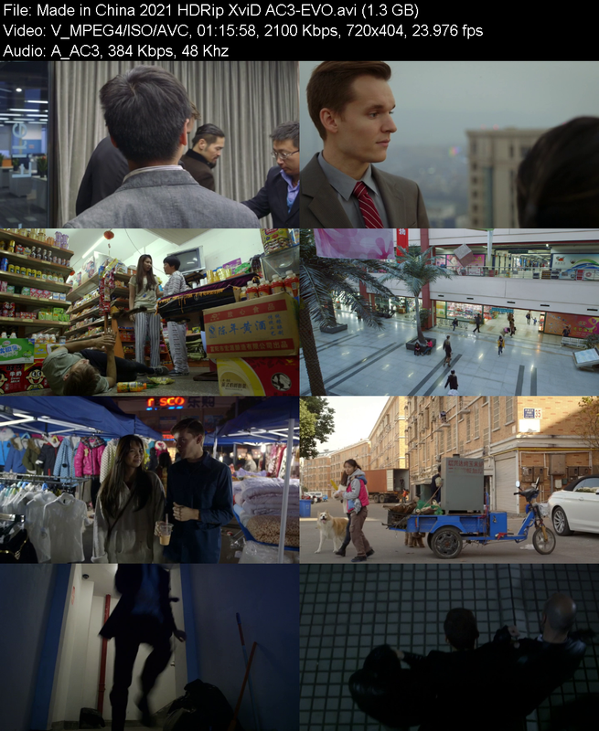 made-in-china-2021-hdrip-xvid-ac3-evo.pn