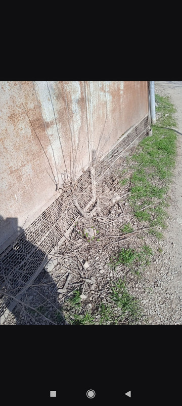 Screenshot 2026 03 18 17 46 29 377 ru oneme app