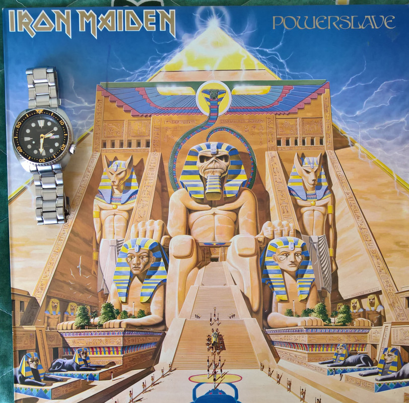 WP_20190324_14_31_06_Rich_LI (2)