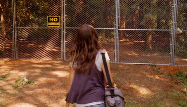 vlcsnap-2014-06-23-15h43m16s107