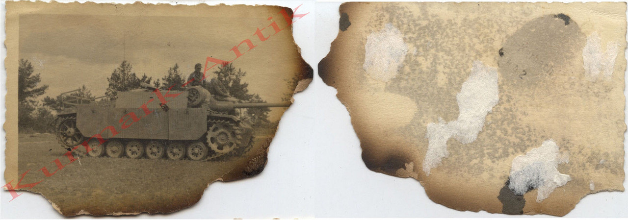 Wehrmacht Ungarn 1945 Panzer Stug Sturmgeschütz 