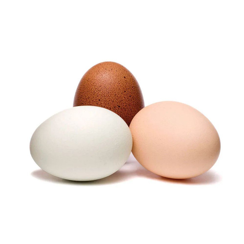 Chicken Eggs