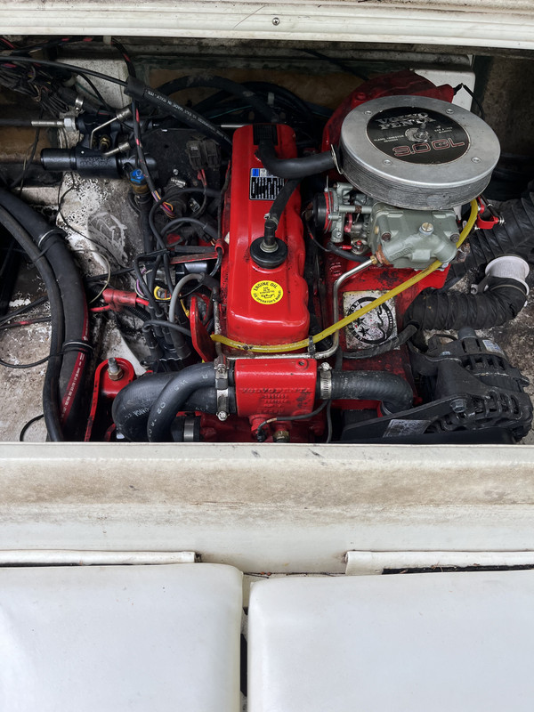 9E62C8E8-74CB-4D4D-878E-49AAF3B8DE1B