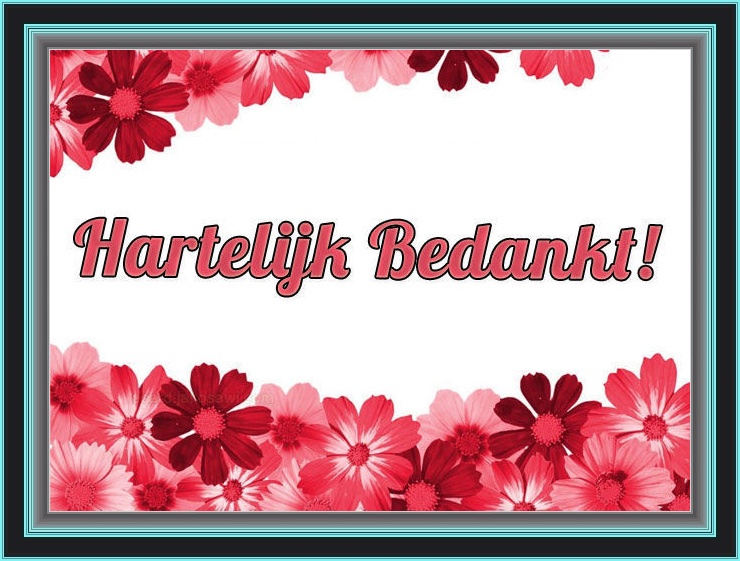 www.krabbelplaatjes.com