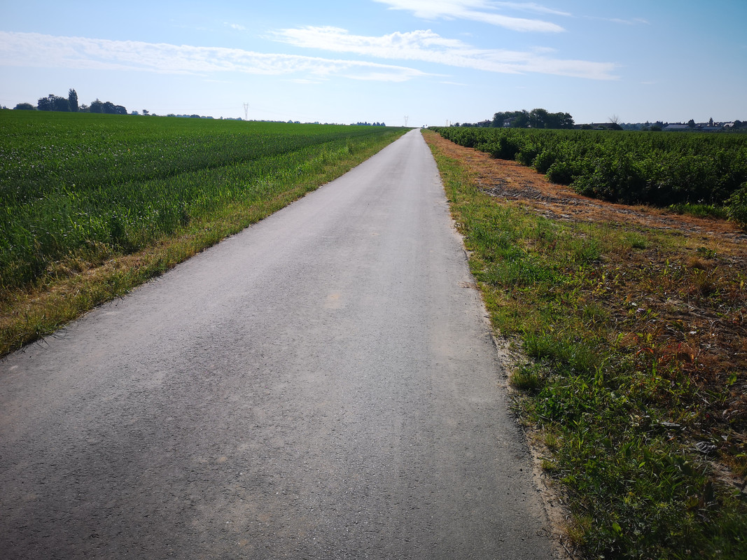 [Obrazek: IMG-20190607-081514.jpg]