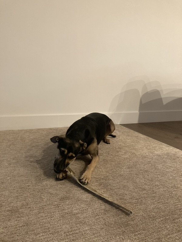 99259A4B-8D13-4C3C-A8A8-BBE6718B59F5